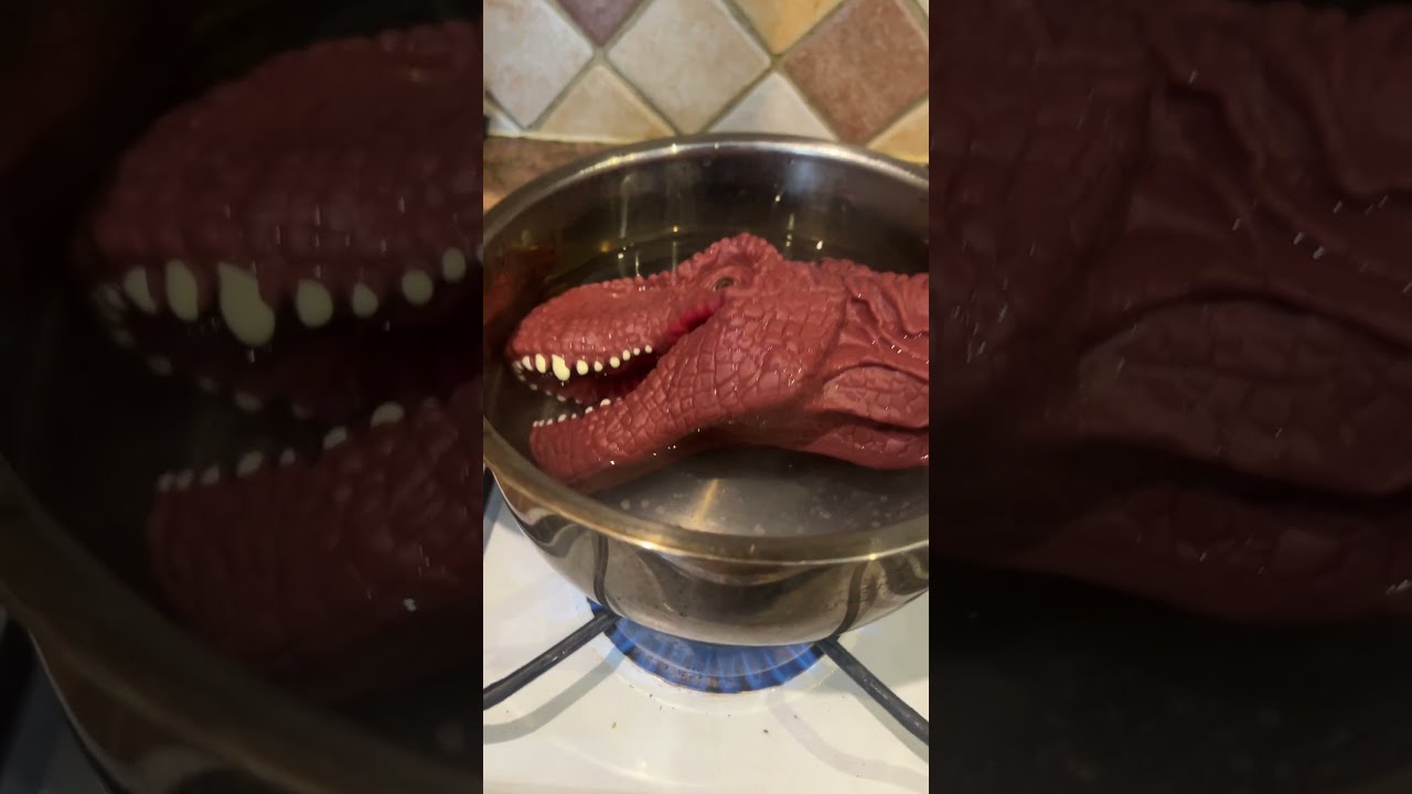 Cooking Dinosaur Head
