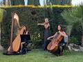 BLITZ NATION - Belle Trio - Harp, Cello &amp; Violin Trio