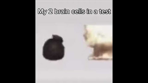 My brain cells be like: