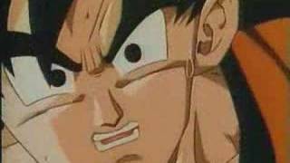DBZ Is Imaginary
