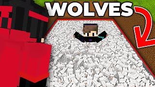 Breeding 1,029 Wolves to Kill One Minecraft Player...(Hindi)