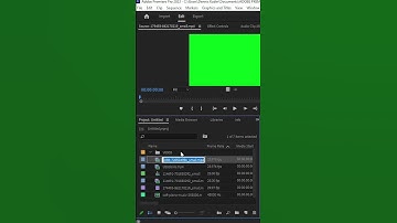 How to create Bin in Premiere Pro #premiereprotutorial #bim #howto #short #tutorial #dtt