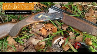F.A.I.R. Jubilee Prestige Tartaruga Gold over-and-under: the field test by all4hunters ITALIA 3,410 views 1 month ago 6 minutes, 58 seconds