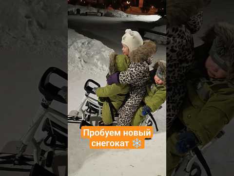 Невозмутимый вид, но слезать не хотел 😁 понравилось всем #двойняшки#двойня#шортс#снегокат#прогулка