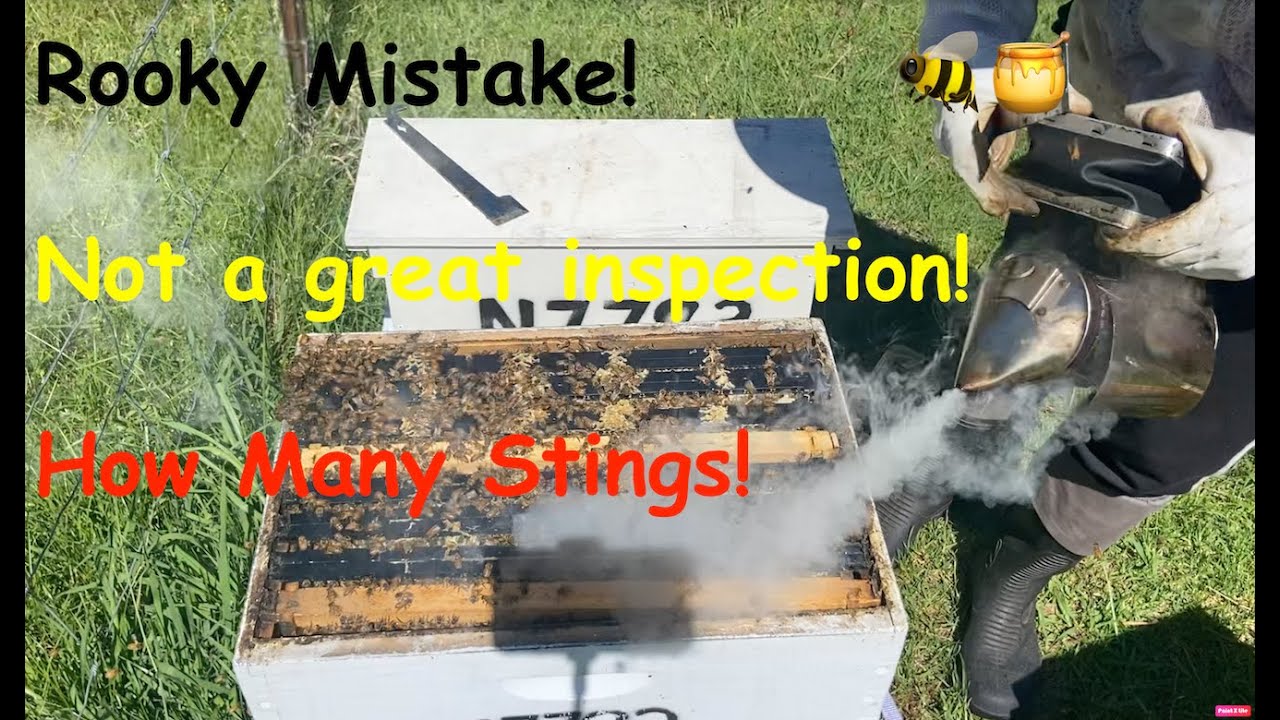 When an Inspection goes wrong! 🐝🐝🐝 #bees #beekeeper #savethebees # ...
