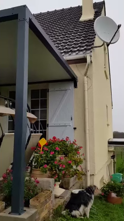 Pergola toit plat aluminium PRIXIMBATTABLE - Témoignage de Mme CIN