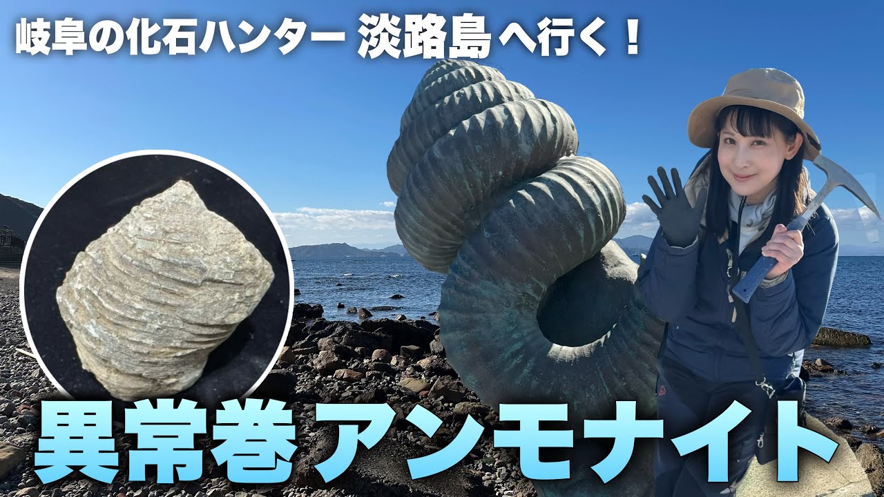 Fossil hunting on Awaji Island! My first attempt at excavating