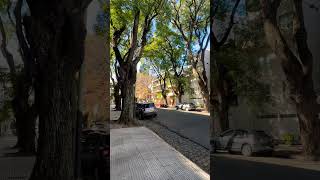 Esta cuadra de #Devoto no le tiene nada que envidiar a San Isidro o Accasuso #shorts #buenosaires