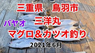 三重県鳥羽市 パヤオ 三洋丸マグロ カツオ釣り Youtube