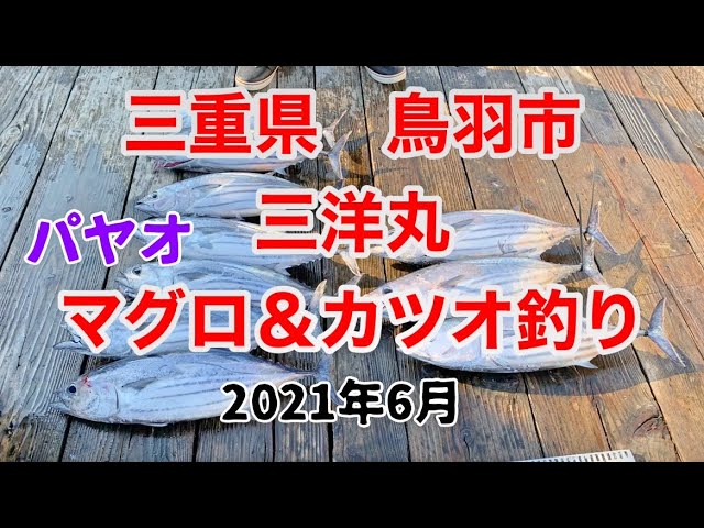 三重県鳥羽市 パヤオ 三洋丸マグロ カツオ釣り Youtube