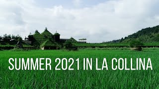 【ラコリーナ】Summer 2021 in La Collina