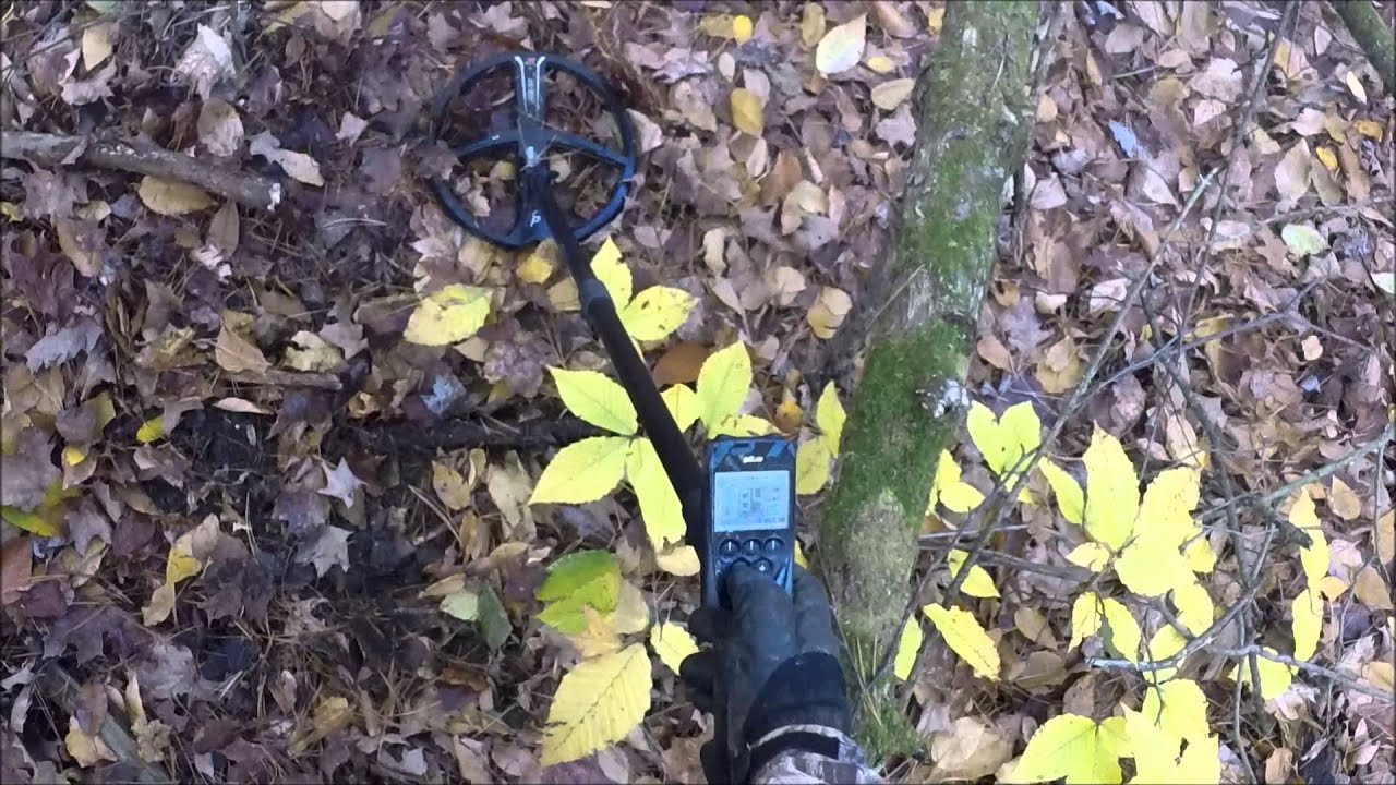 Metal Detecting an Old Camp in the Woods - YouTube