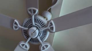 Ceiling Fan Slideshow 26