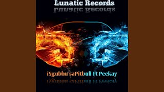 iSgubhu saPitbull × Peekay