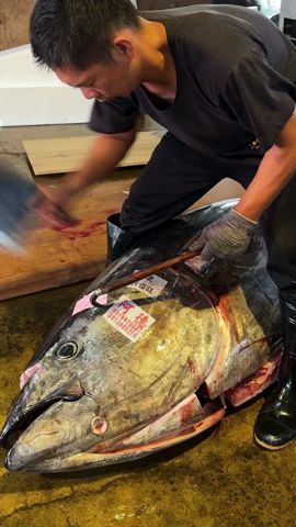 超巨大マグロカッティング４ #food #seafood #tuna #taiwan