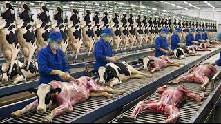 Inside The Cow Leather Factory How Raw Cowhide Becomes 20,000 Luxury Jackets Complete Process