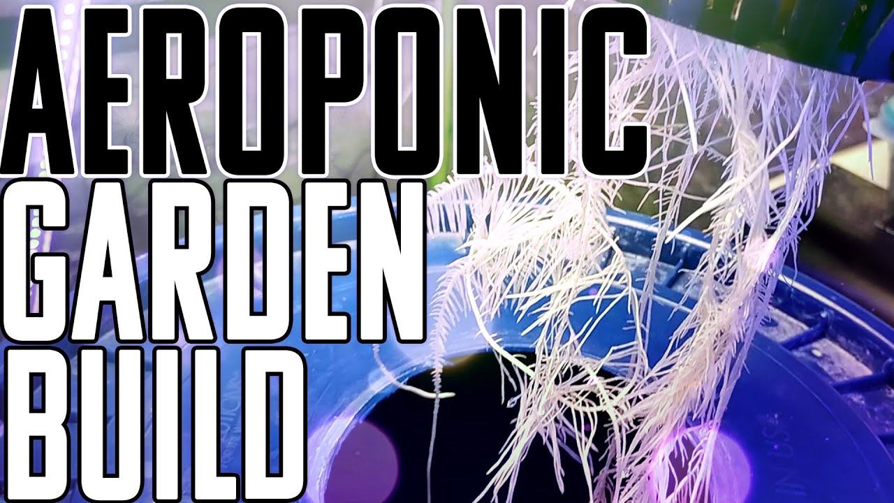 I SHOW YOU HOW TO BUILD THE BEST AEROPONIC GARDEN FOR UNDER $50 | THIS GARDEN WON'T BE OUTGROWN!
