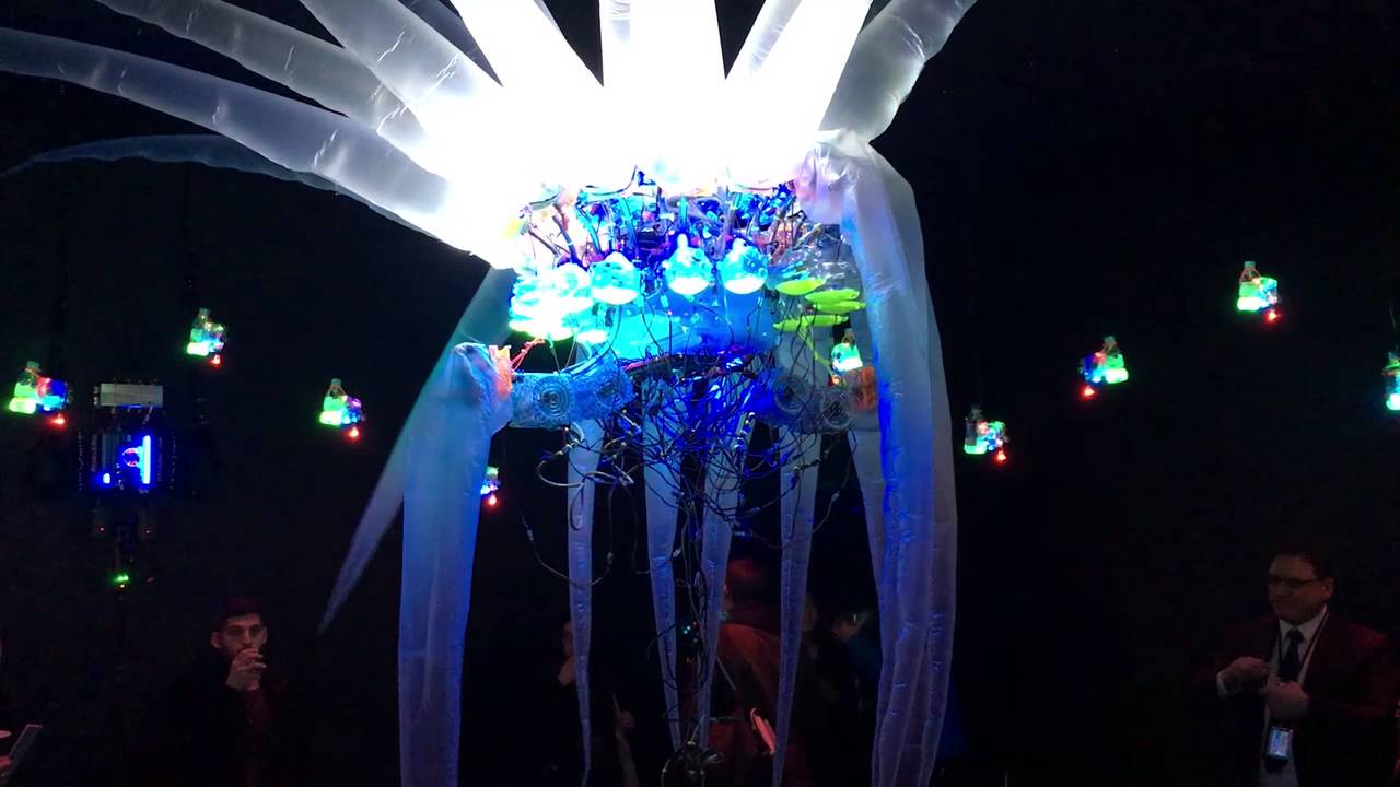 Disphotic Zone at the Armory Show 2016