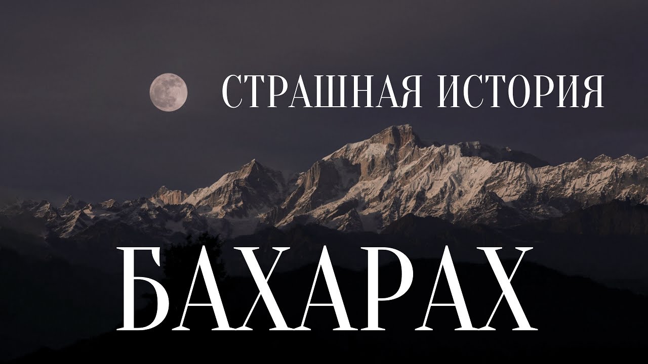 СТРАШНЫЕ ИСТОРИИ НА НОЧЬ / СТРАШНЫЕ ИСТОРИИ ПРО ЛЕС / СТРАШНЫЕ ИСТОРИИ ПРО ТАЙГУ / ДЕРЕВНЮ