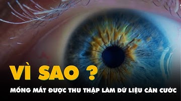 Mống mắt là gì, vì sao được thu thập làm dữ liệu căn cước?