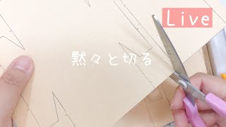 深夜に黙々と紙を切ってるだけLIVE