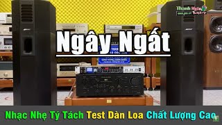 Nhạc Nhẹ Test Loa Êm Ái Ngọt Ngào Như Mật | Dàn Loa Đẹp Hút Hồn  Âm Thanh Chuẩn | Organ Thanh Ngân