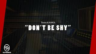 Tiesto & KAROL G - Don’t Be Shy (Instrumental)