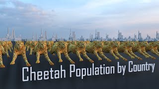 Cheetah Population by Country 2023