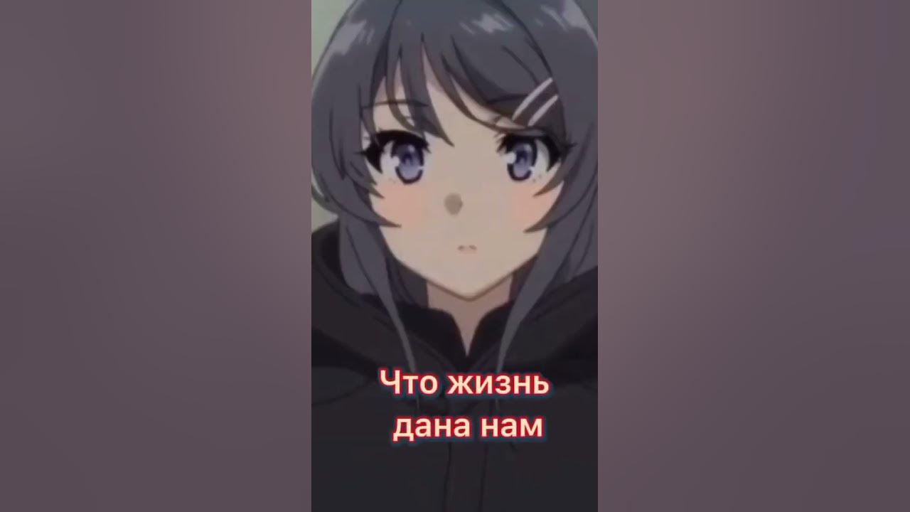 Этот глупый свин понимает мечты зай #аниме #цитатысосмыслом #аниме ...