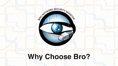 Why Choose Bro?