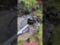Water Wheel Pump Free Energy Machine Using River Flow