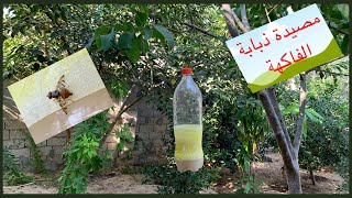 كيف تصنع مصيدة لذبابة الفاكهة والحشرات رخيصة وفعالة | Homemade trap for fruit fly