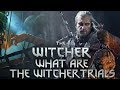 What Are The Witcher Trials?  - Witcher Lore - Witcher Mythology - Witcher 3 lore