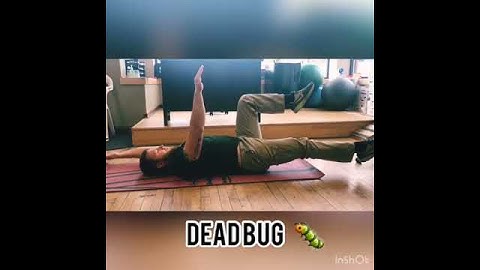 Best PT Exercises for Low Back Pain | Core Challenge | Dead Bug (Intermed) Active Physical Therapy