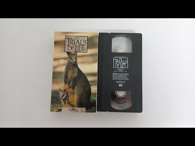 Opening and Closing To The Trials Of Life Growing Up 1991