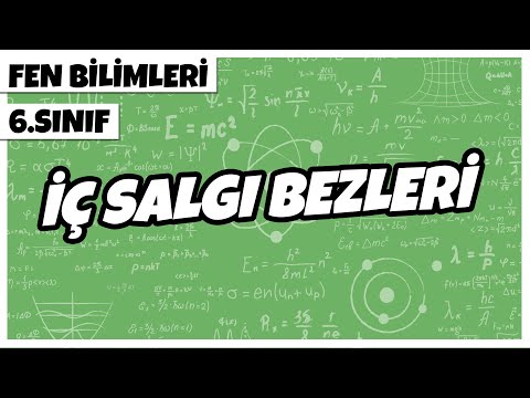 6. Sınıf Fen Bilimleri - İç Salgı Bezleri | 2022