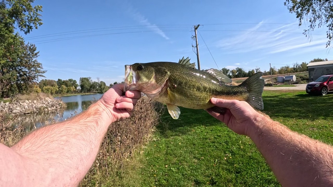 3 Casts 3 Fish! Iowa Bass Fishing