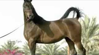 Download Lagu Nabaweyah Ezzain MP3