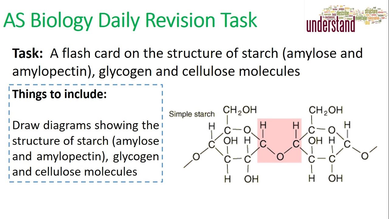 AS Biology Daily Revision Task 14: Glycosidic Bonds video phone beyonce mp3