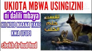 UKIOTA MBWA MAANA YAKE NINI?  255657990471whats up