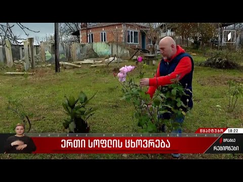 ერთი სოფლის ცხოვრება