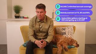 Pets Best Review
