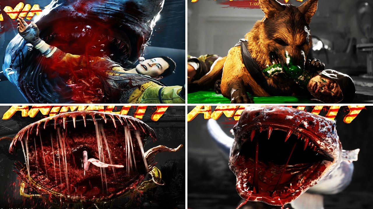 Mortal Kombat 1 Definitive Edition - ALL ANIMALITIES - YouTube