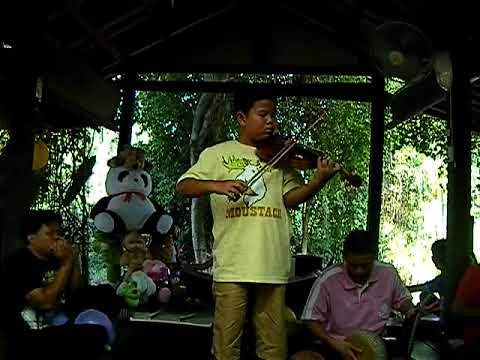 ลาวจ้อย violin