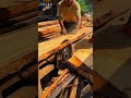 丸太から完成品へ!職人の全工程 From Log to Perfection #Shorts #Woodworking #職人