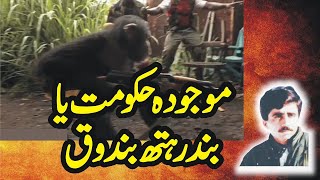 A gun in a monkey's hand urdu | hindi