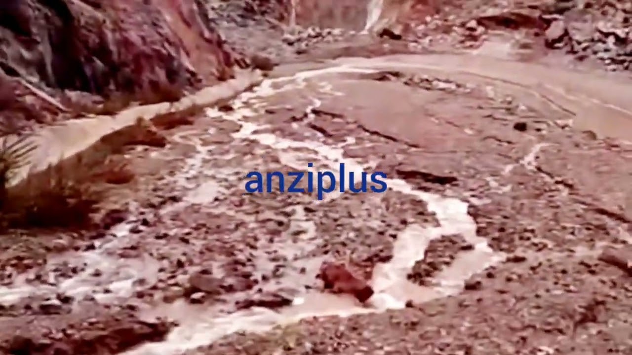 28 ديسمبر 2025