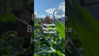 моя Удмуртия