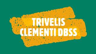 311A Trivelis Clementi Dbss