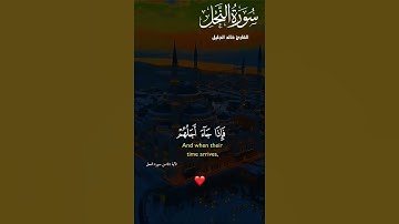 ما شاء الله Amazing❤️#سورة_النحل #للشيخ_خالد_الجليل #مكة #المكرمة #اسلام #مسلم #قران #الكريم #muslim